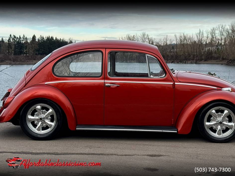 Volkswagen-Beetle-1965-10052-16