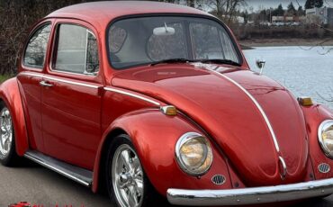 Volkswagen-Beetle-1965-10052-3