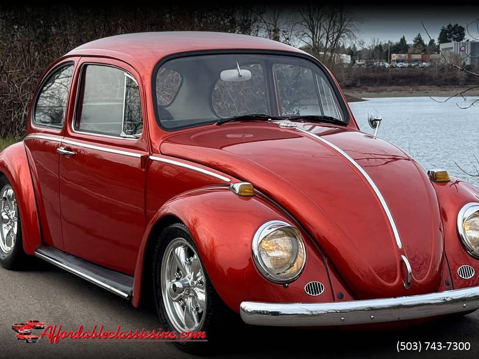 Volkswagen-Beetle-1965-10052-3