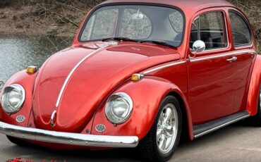 Volkswagen-Beetle-1965-10052