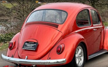 Volkswagen-Beetle-1965-10052-4