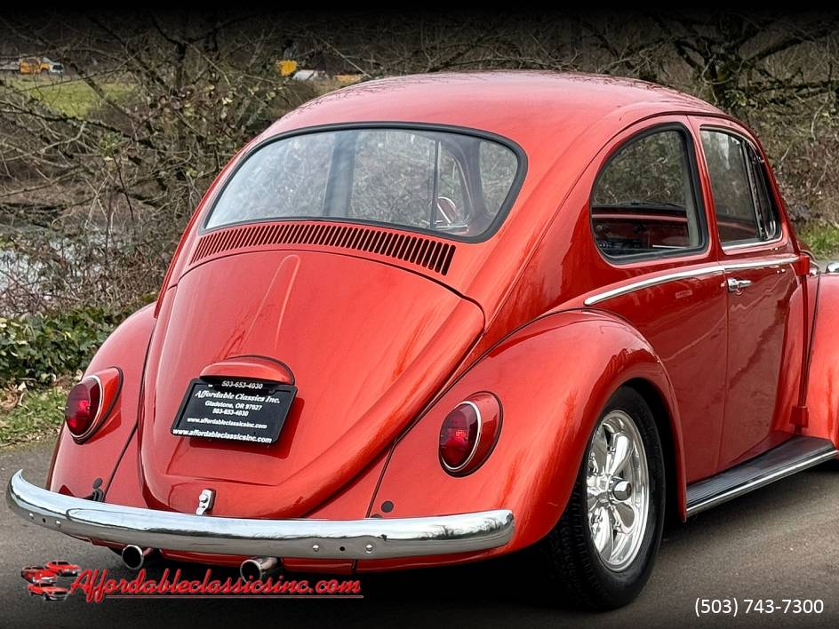 Volkswagen-Beetle-1965-10052-4