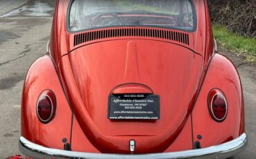 Volkswagen-Beetle-1965-10052-5