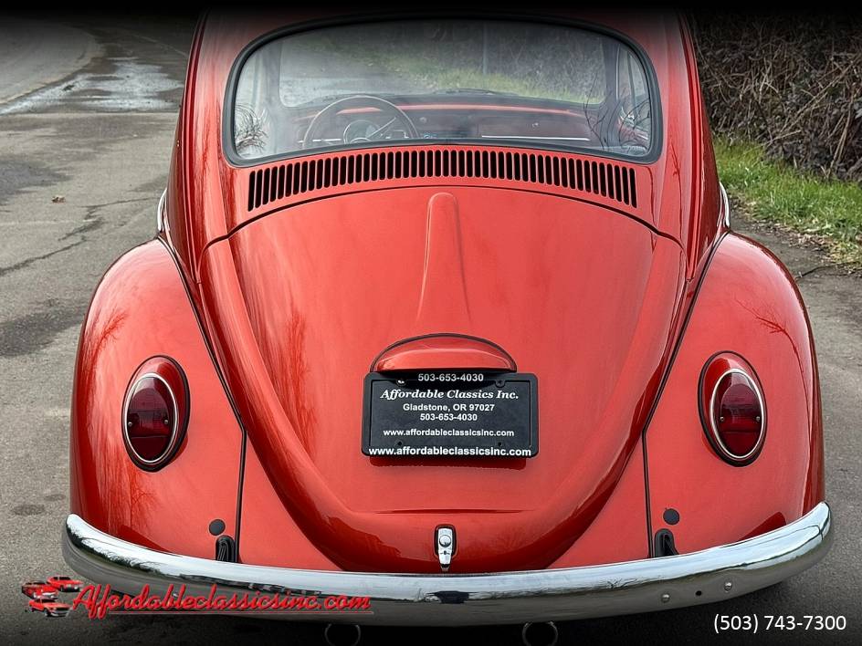 Volkswagen-Beetle-1965-10052-5