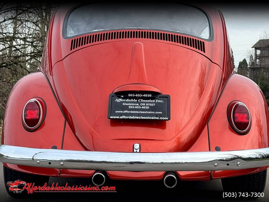 Volkswagen-Beetle-1965-10052-6