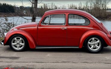 Volkswagen-Beetle-1965-10052-7