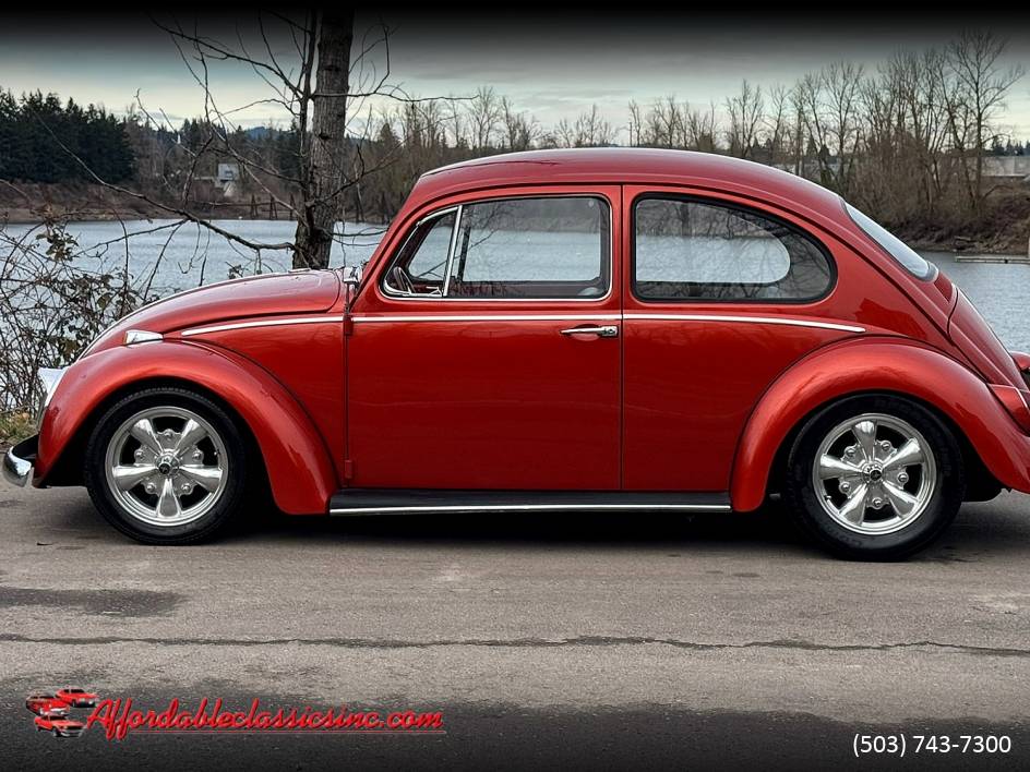 Volkswagen-Beetle-1965-10052-7