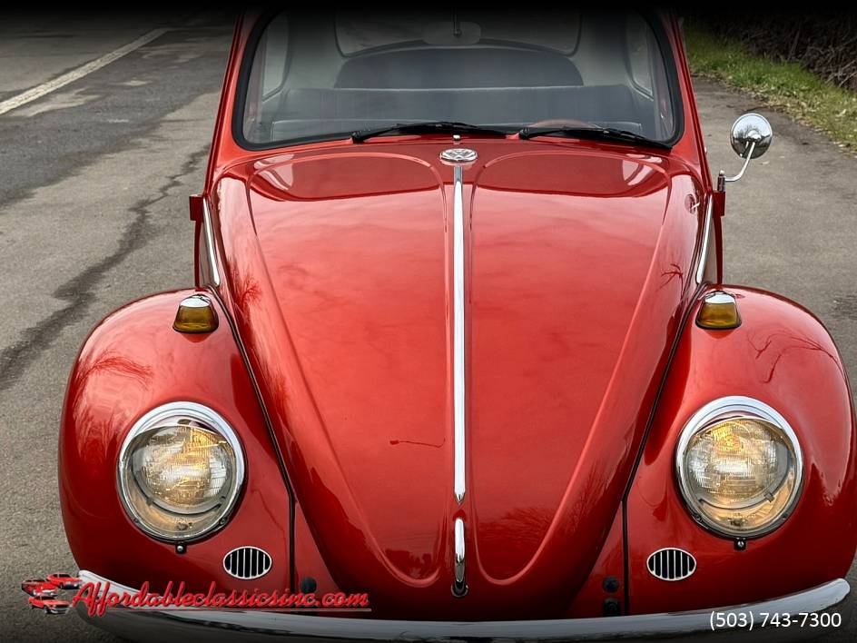 Volkswagen-Beetle-1965-10052-8