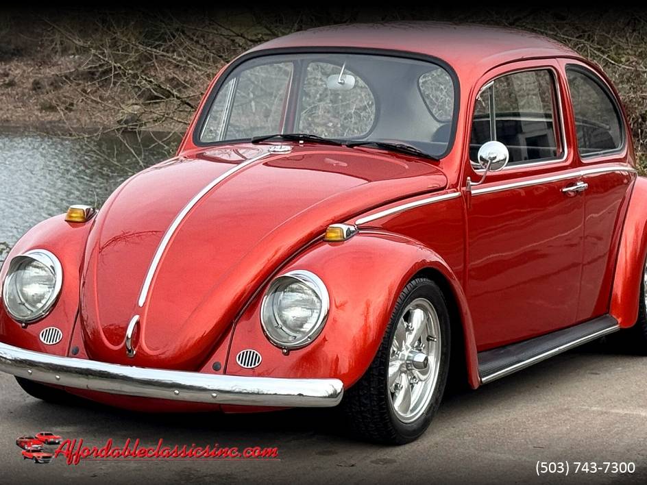 Volkswagen-Beetle-1965-10052