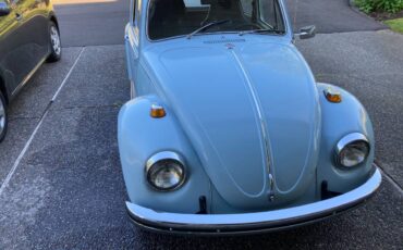 Volkswagen-Beetle-1969-blue-85697-1