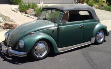 Volkswagen-Beetle-1969-green-160932-2