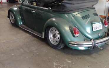 Volkswagen-Beetle-1969-green-160932-3