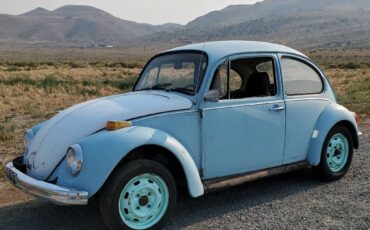 Volkswagen-Beetle-1972-blue-34923-1