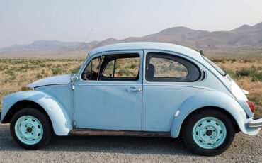 Volkswagen-Beetle-1972-blue-34923