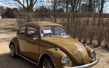 Volkswagen-Beetle-1976-brown-8047-1