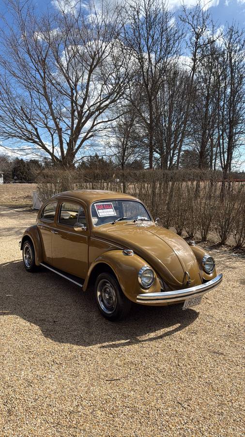 Volkswagen-Beetle-1976-brown-8047-1