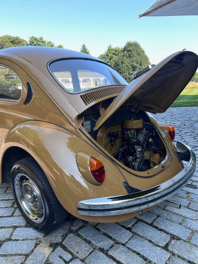 Volkswagen-Beetle-1976-brown-8047-11