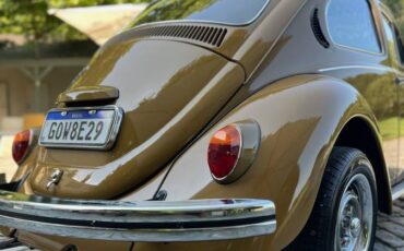 Volkswagen-Beetle-1976-brown-8047-12