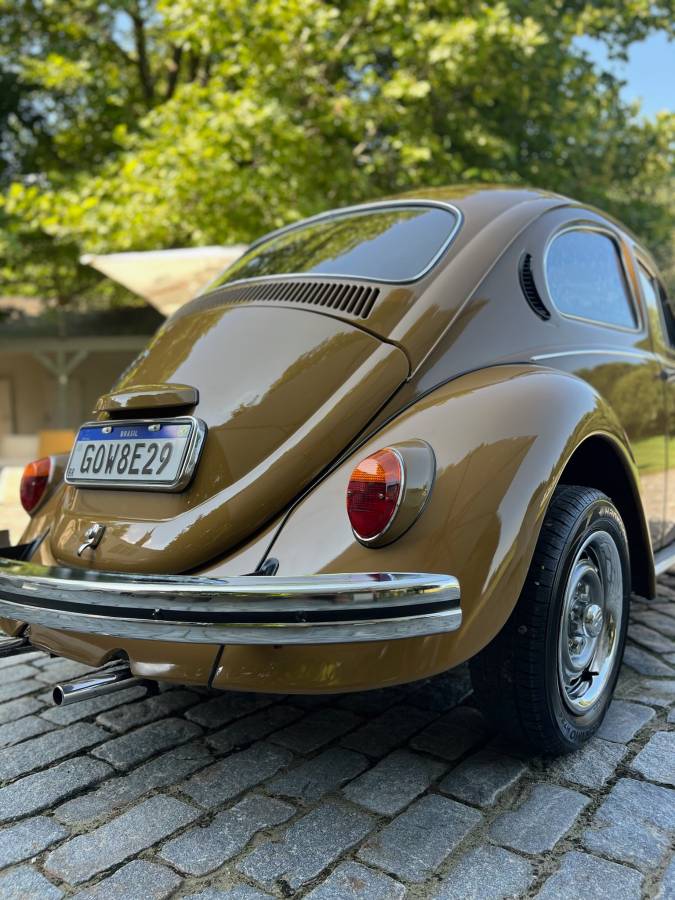 Volkswagen-Beetle-1976-brown-8047-12