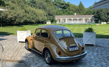 Volkswagen-Beetle-1976-brown-8047-17