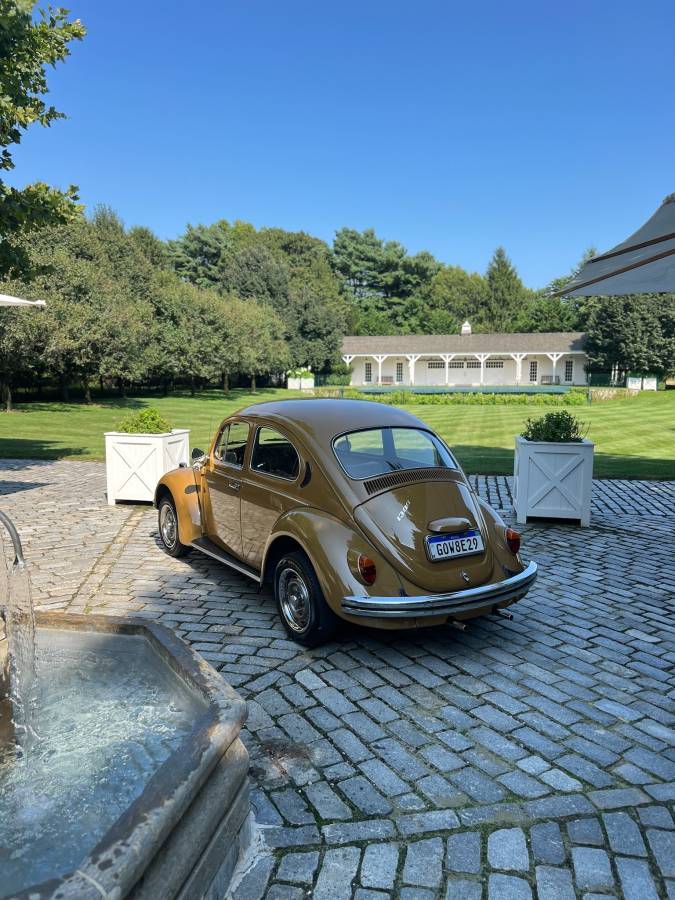 Volkswagen-Beetle-1976-brown-8047-17