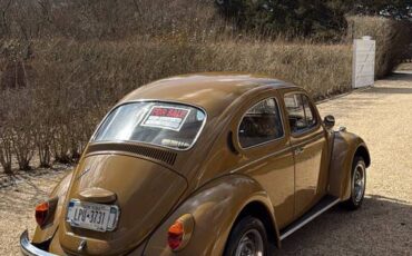 Volkswagen-Beetle-1976-brown-8047-2