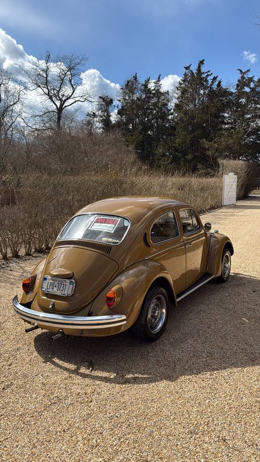 Volkswagen-Beetle-1976-brown-8047-2