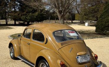 Volkswagen-Beetle-1976-brown-8047-3