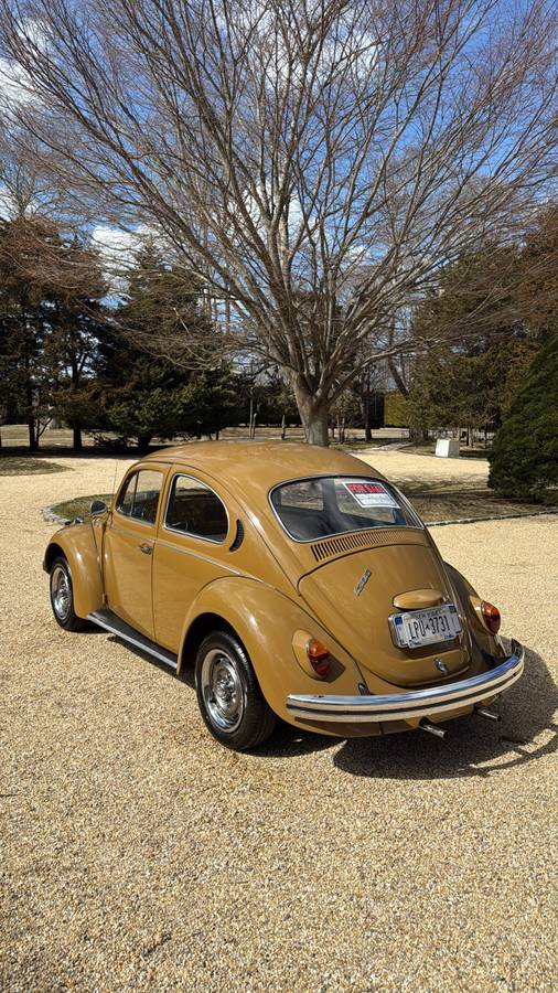 Volkswagen-Beetle-1976-brown-8047-3