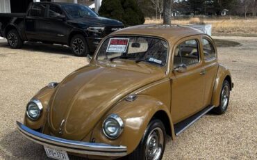 Volkswagen-Beetle-1976-brown-8047