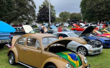 Volkswagen-Beetle-1976-brown-8047-5