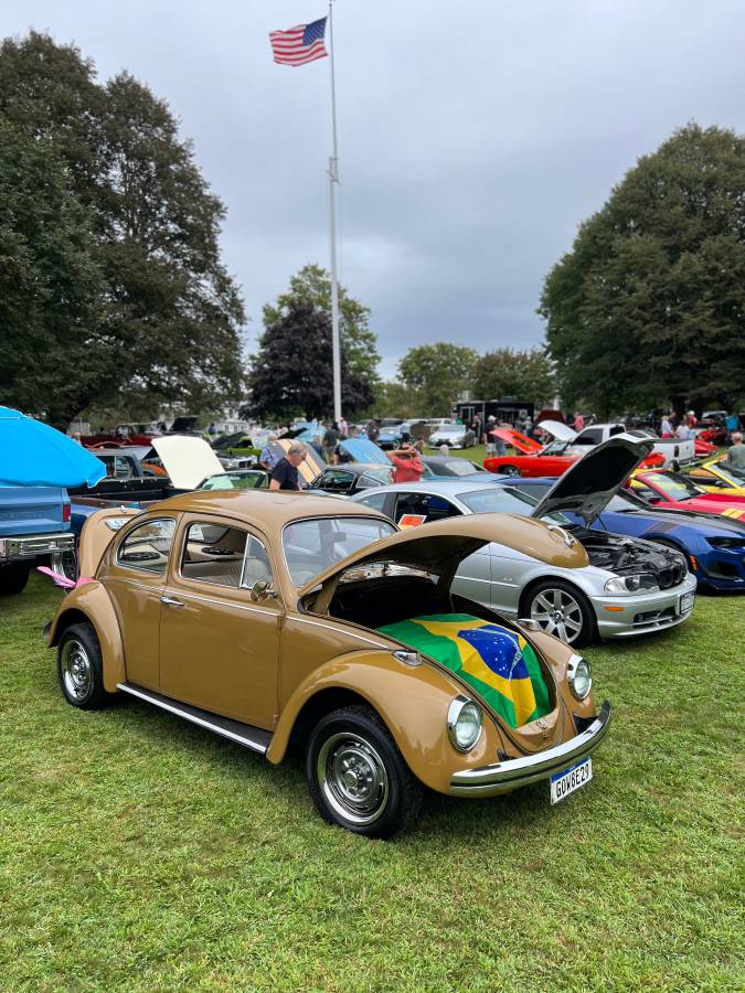 Volkswagen-Beetle-1976-brown-8047-5