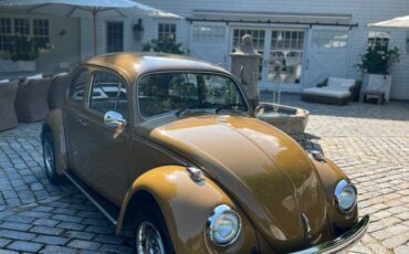 Volkswagen-Beetle-1976-brown-8047-6