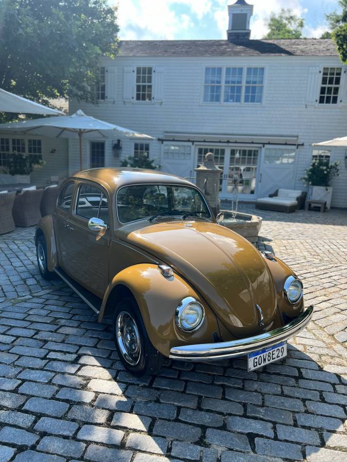 Volkswagen-Beetle-1976-brown-8047-6