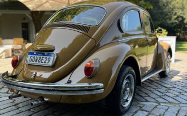 Volkswagen-Beetle-1976-brown-8047-7