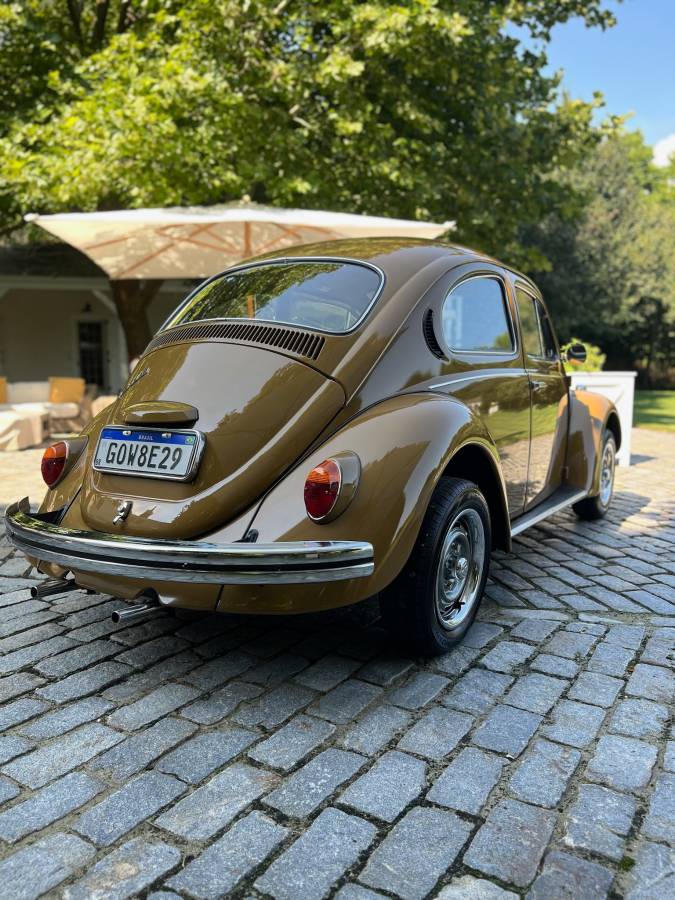 Volkswagen-Beetle-1976-brown-8047-7