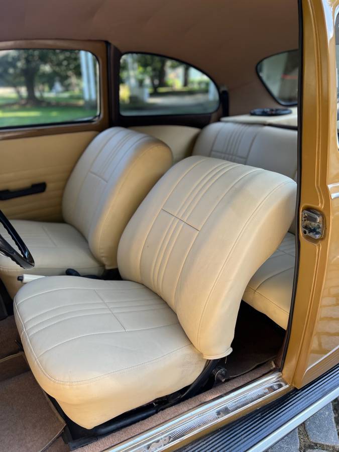 Volkswagen-Beetle-1976-brown-8047-8