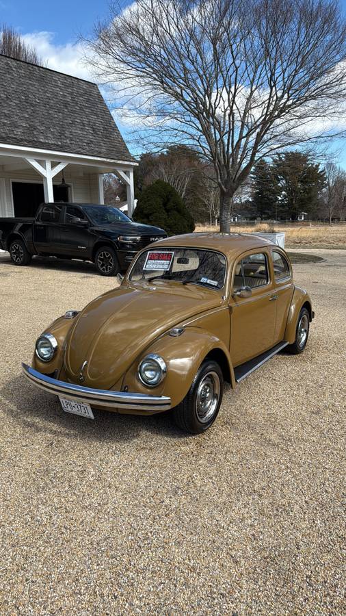 Volkswagen-Beetle-1976-brown-8047