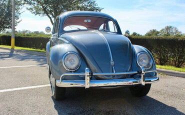 Volkswagen-Beetle-Classic-Cabriolet-1954-Gray-Gray-15435-5