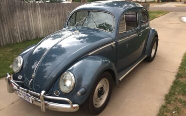 Volkswagen-Vw-beetle-1956-142217