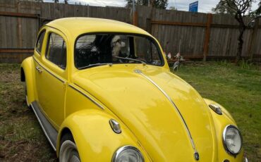 Volkswagen-Vw-beetle-1963-yellow-135185-1