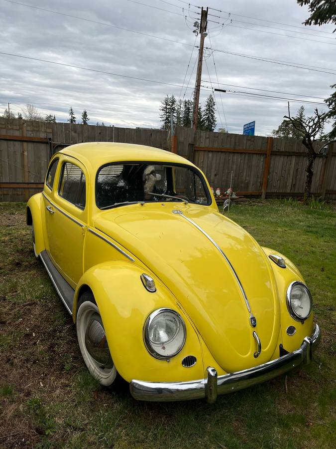 Volkswagen-Vw-beetle-1963-yellow-135185-1