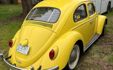 Volkswagen-Vw-beetle-1963-yellow-135185-2