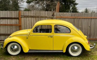 Volkswagen-Vw-beetle-1963-yellow-135185