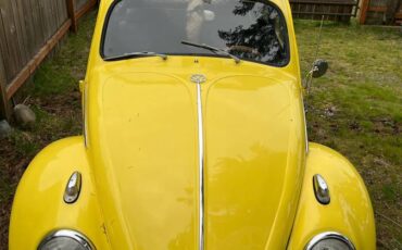 Volkswagen-Vw-beetle-1963-yellow-135185-4