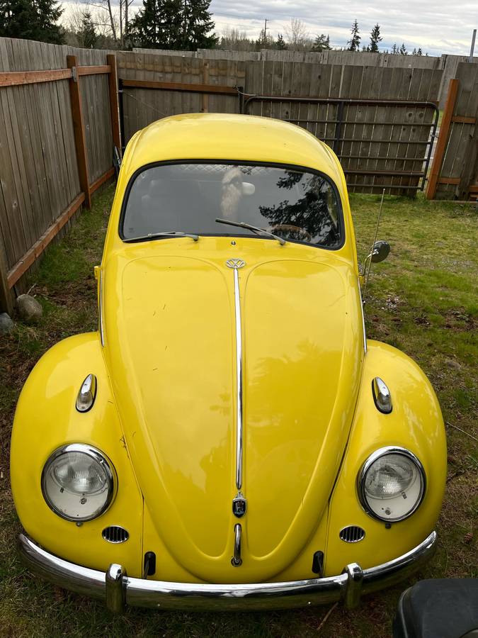 Volkswagen-Vw-beetle-1963-yellow-135185-4