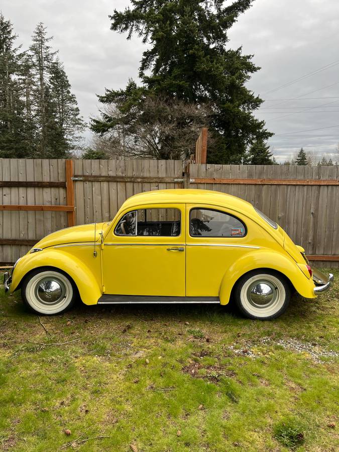 Volkswagen-Vw-beetle-1963-yellow-135185