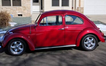 Volkswagen-Vw-bug-1961-red-3317-1