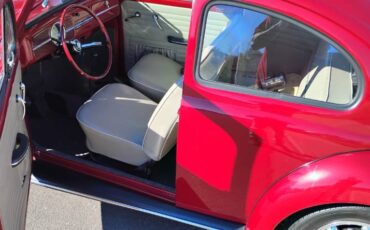 Volkswagen-Vw-bug-1961-red-3317-3