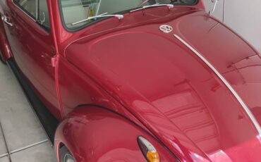 Volkswagen-Vw-bug-1961-red-3317-6